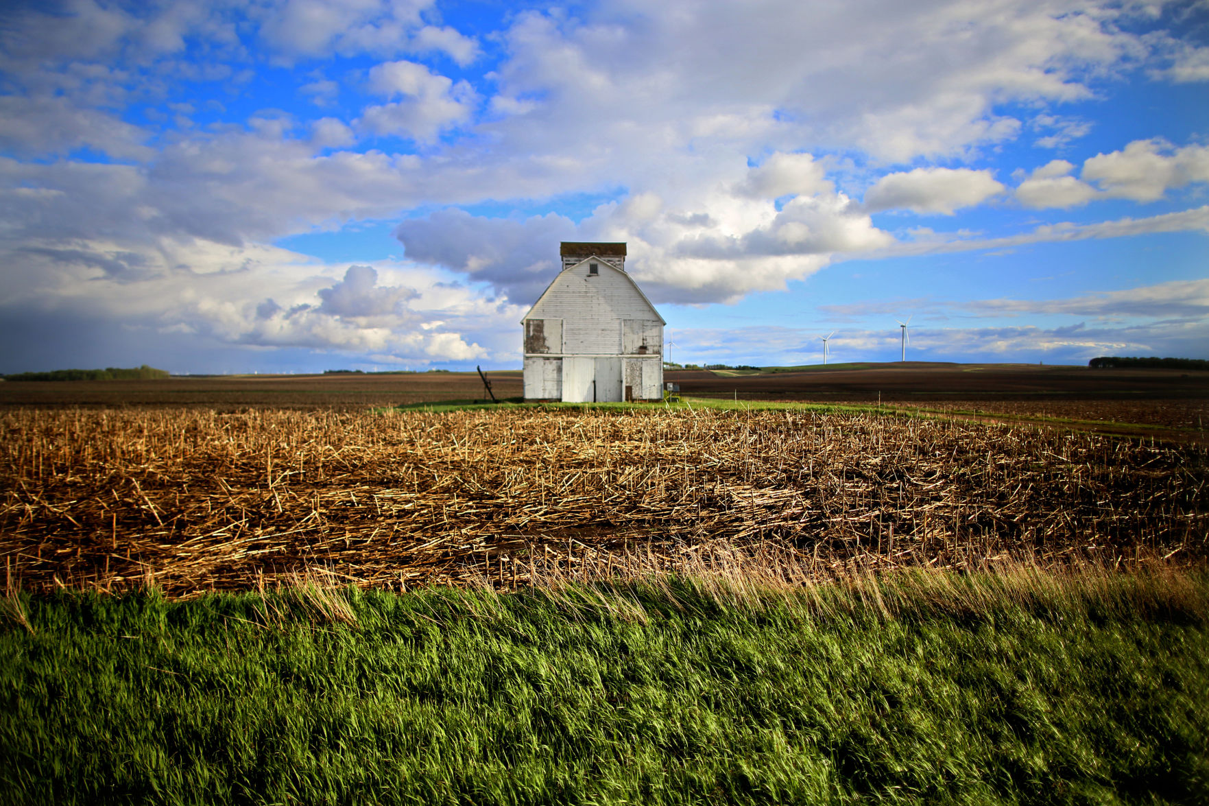 Farmland